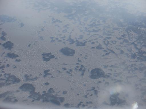 d0048366_913442.jpg
