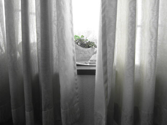 e0231771_19443430.jpg