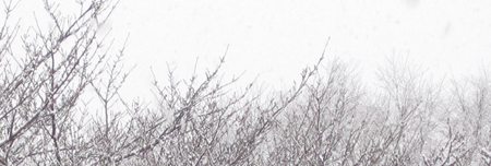 b0192672_0141597.jpg