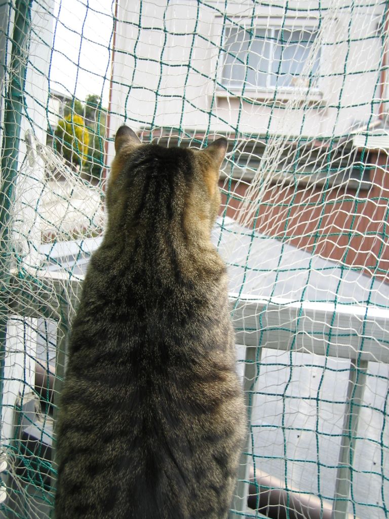 e0031572_2011598.jpg