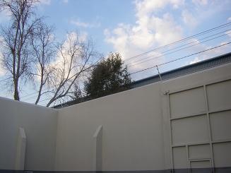f0064573_445848.jpg