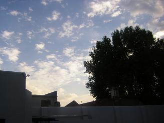 f0064573_454511.jpg