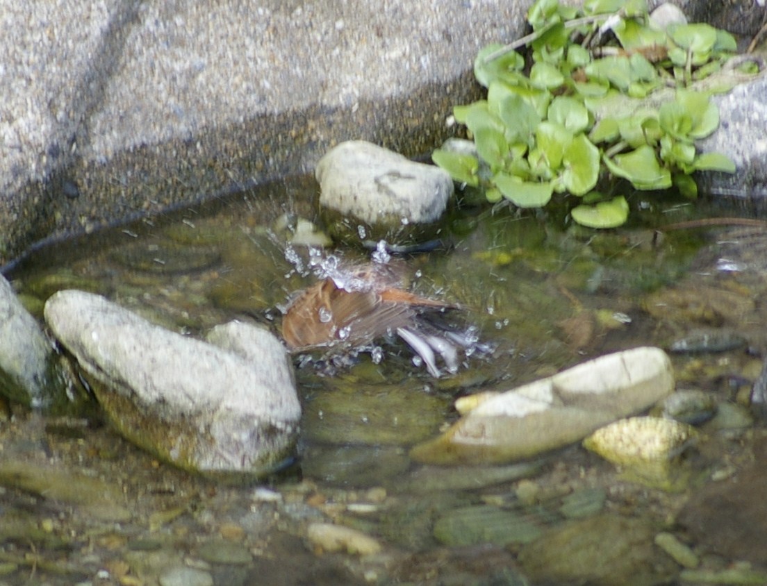 e0197884_20413428.jpg