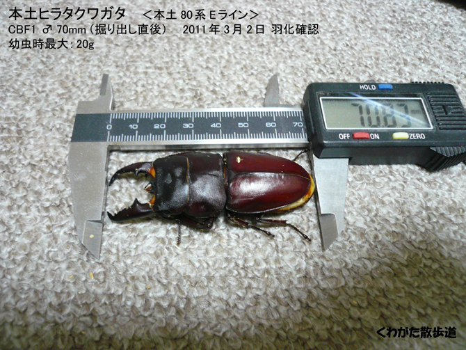 f0183484_22261163.jpg