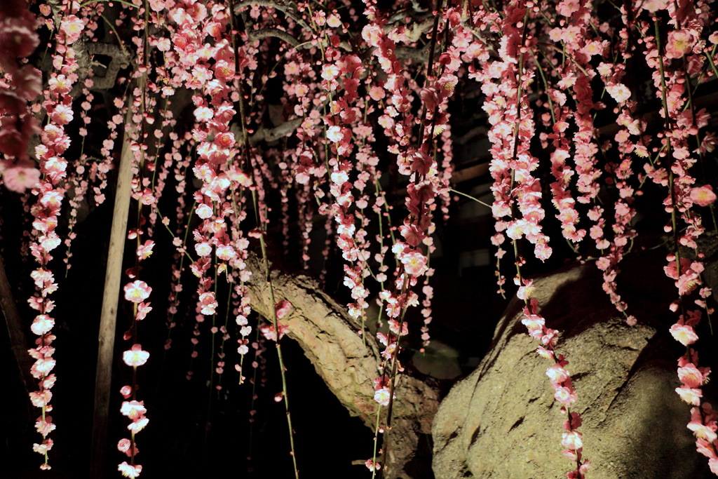 c0197386_21464931.jpg