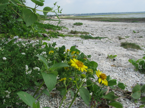 c0064389_195991.jpg