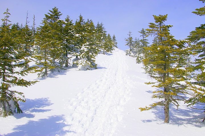 f0237689_0151933.jpg
