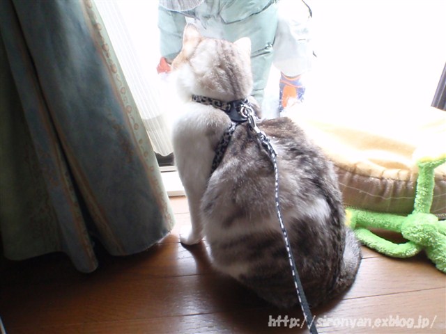 a0159490_12473260.jpg