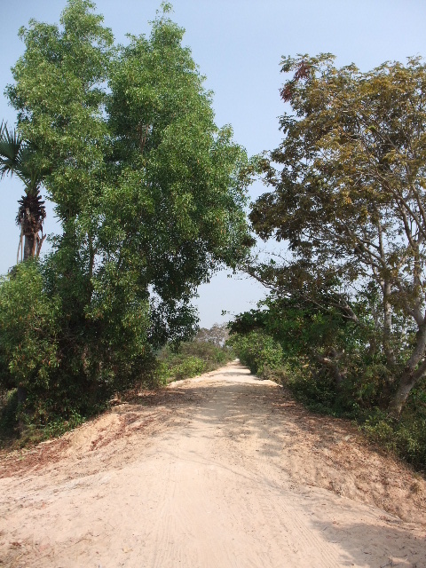 c0041592_23571633.jpg