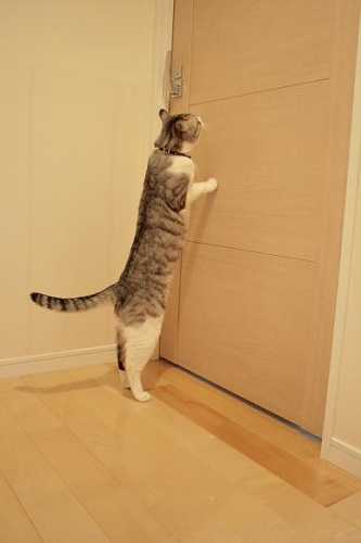 開けて~