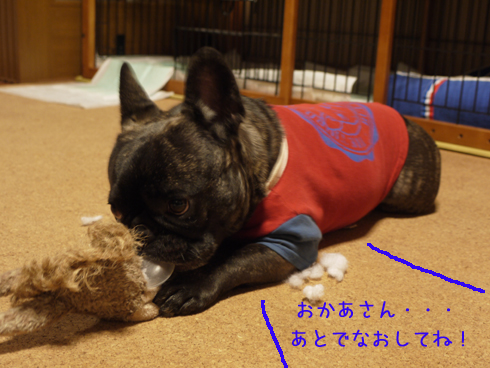 b0134197_20125080.jpg