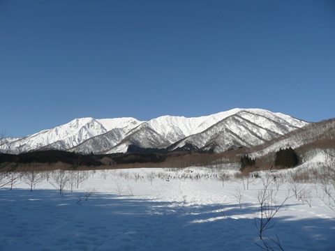 a0138198_11383971.jpg