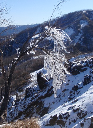 e0077899_8194378.jpg