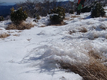 e0077899_820064.jpg