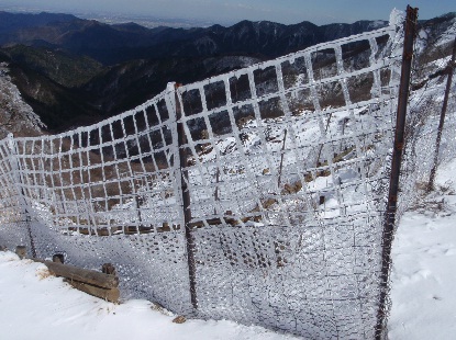 e0077899_8201139.jpg