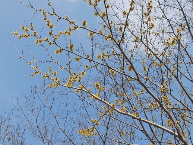 e0025300_1771695.jpg