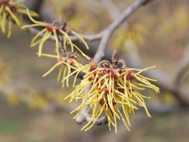 e0025300_178058.jpg