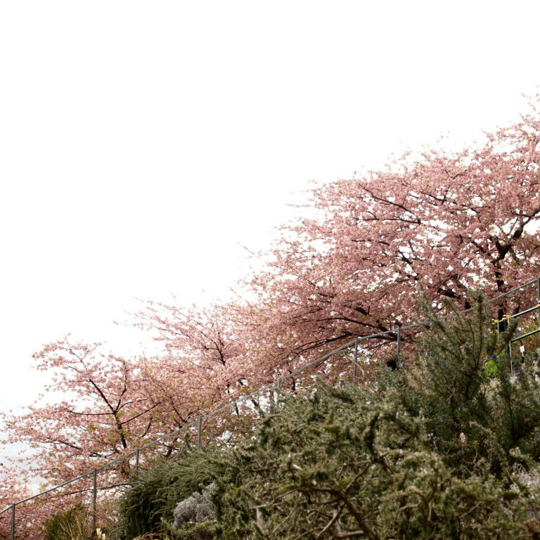 f0236201_14483087.jpg