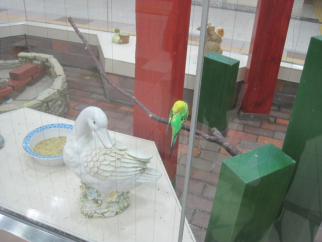 f0202703_20584530.jpg