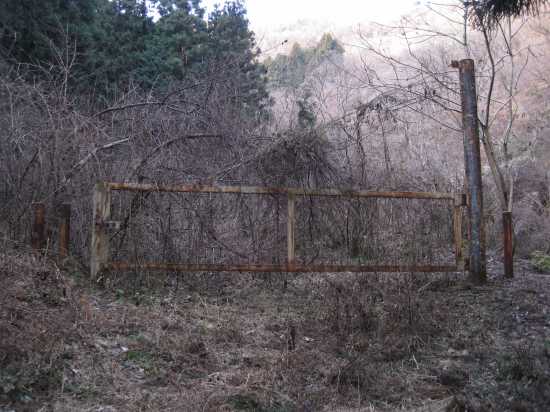 e0183804_3422651.jpg