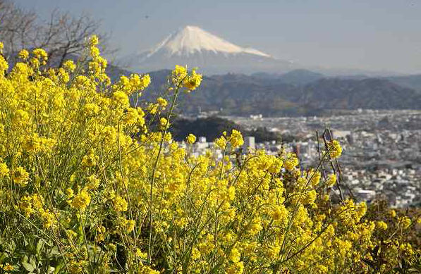 a0188405_19552728.jpg