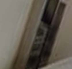 e0103408_13371393.jpg