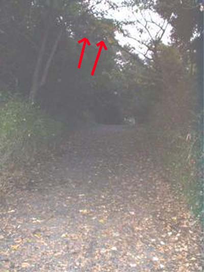 e0103408_14174318.jpg