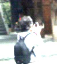 e0103408_14175912.jpg