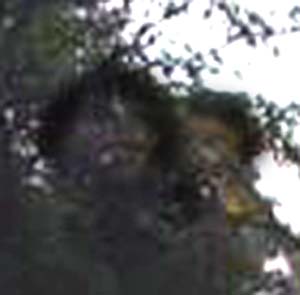 e0103408_1472325.jpg