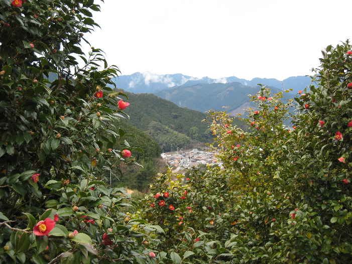 d0154609_10164864.jpg