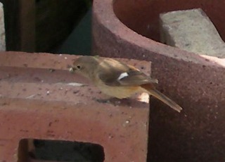 c0190010_2023564.jpg