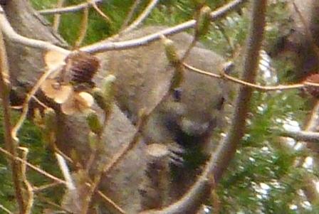 e0078510_1642818.jpg
