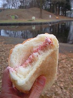 f0100911_2150466.jpg