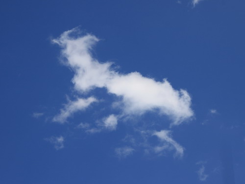 c0101713_2275270.jpg