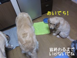 b0008217_21272445.jpg