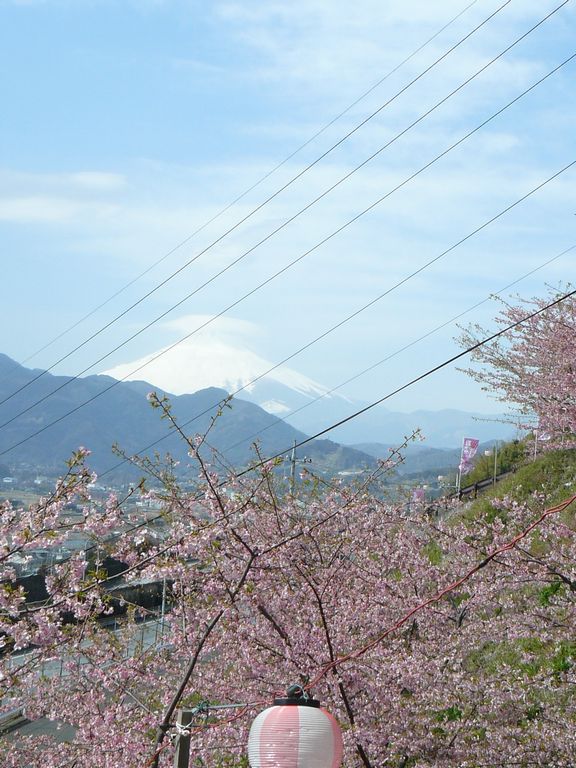f0004019_18152618.jpg
