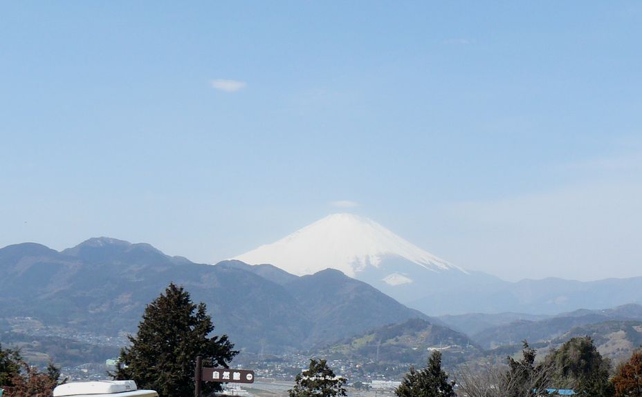 f0004019_1881954.jpg