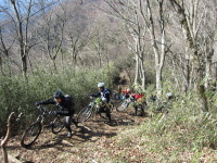 f0177521_20533626.jpg