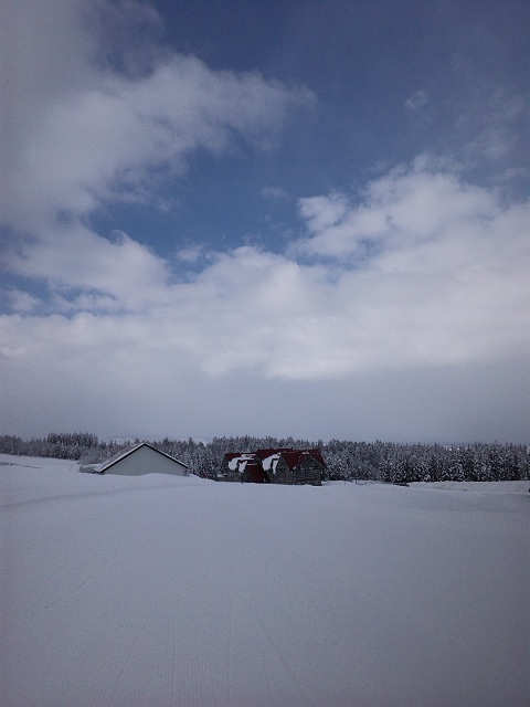 b0199924_2153236.jpg