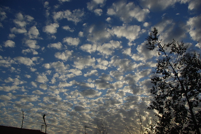 b0070127_14777.jpg