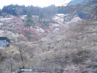 e0085133_1392743.jpg