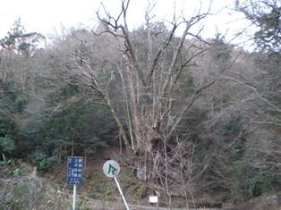 b0199742_23235063.jpg