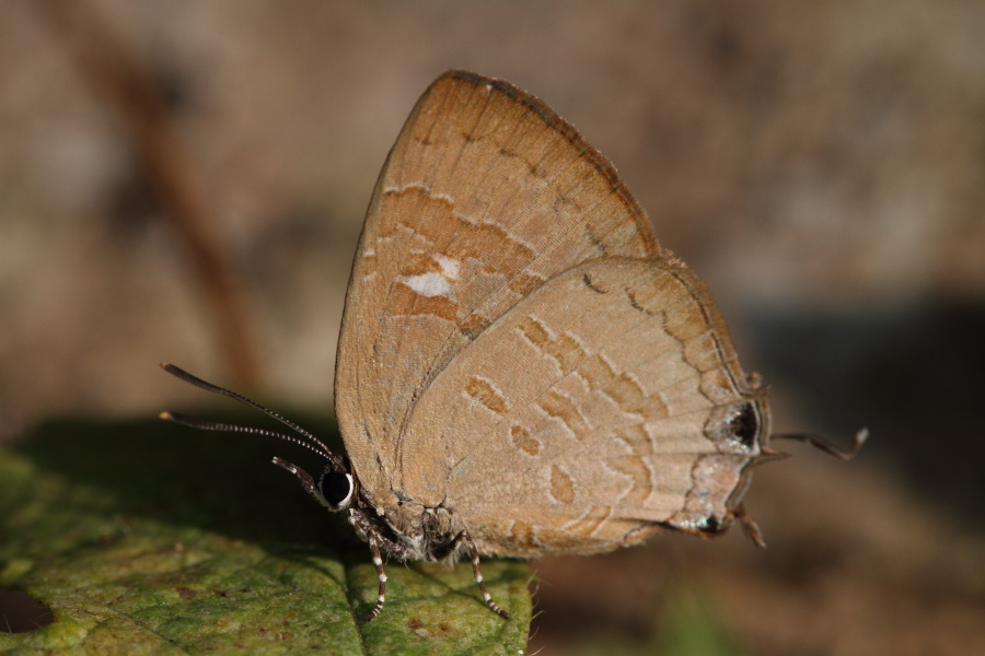 a0094850_18531063.jpg