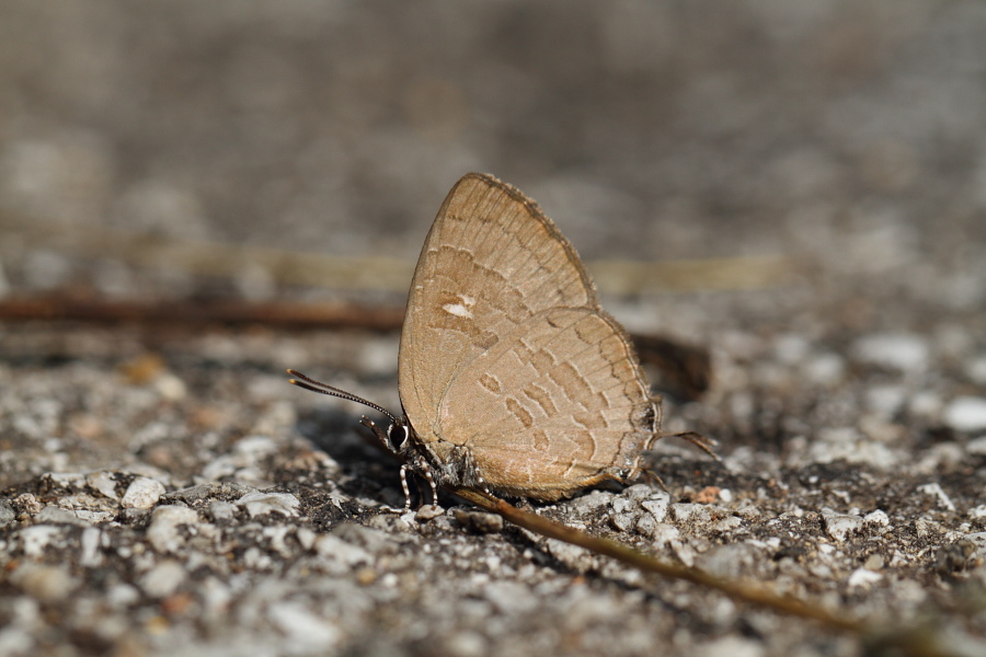 a0094850_18541241.jpg