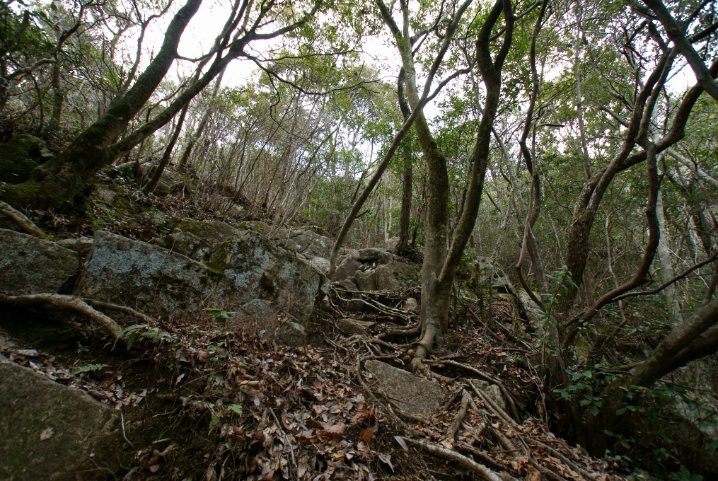 e0005253_0145521.jpg