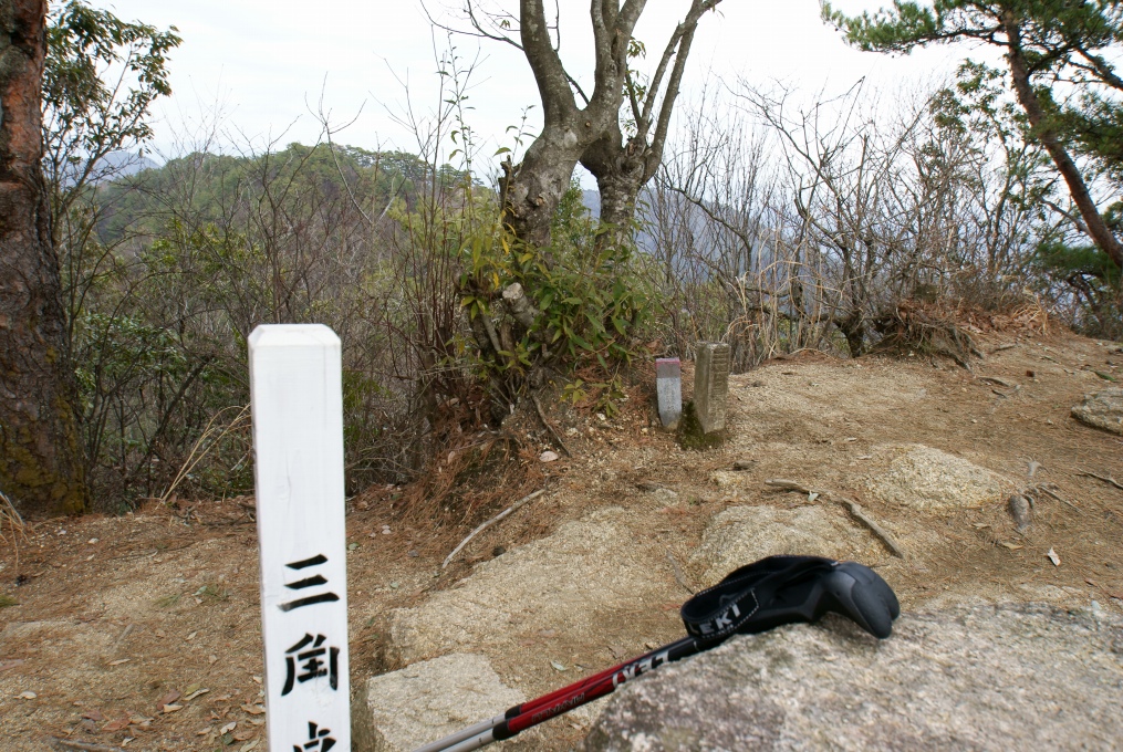 e0005253_015853.jpg