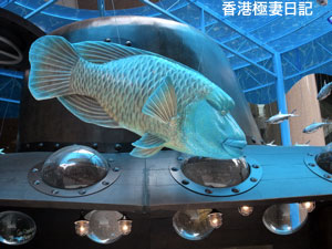 f0190653_8365562.jpg
