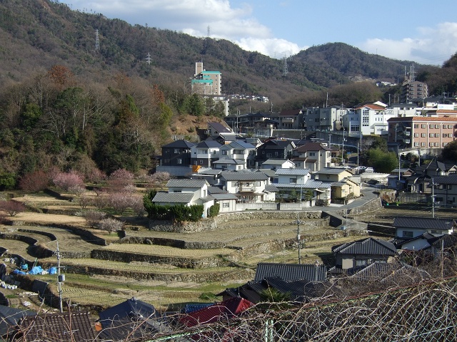 b0095061_11562662.jpg