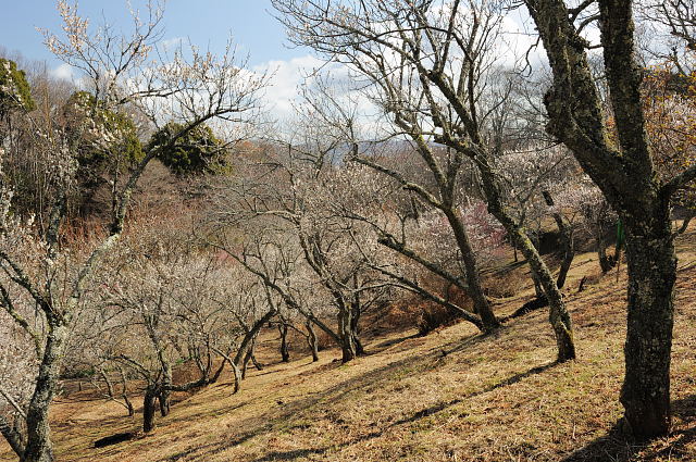 f0222161_22221496.jpg