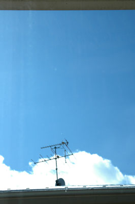 c0050264_1159980.jpg
